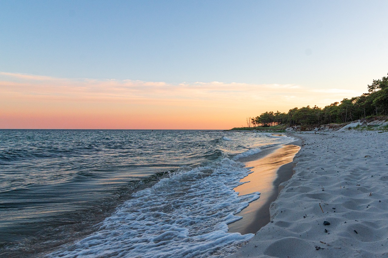 Ocean Noise: An Understudied Threat to Marine Wildlife